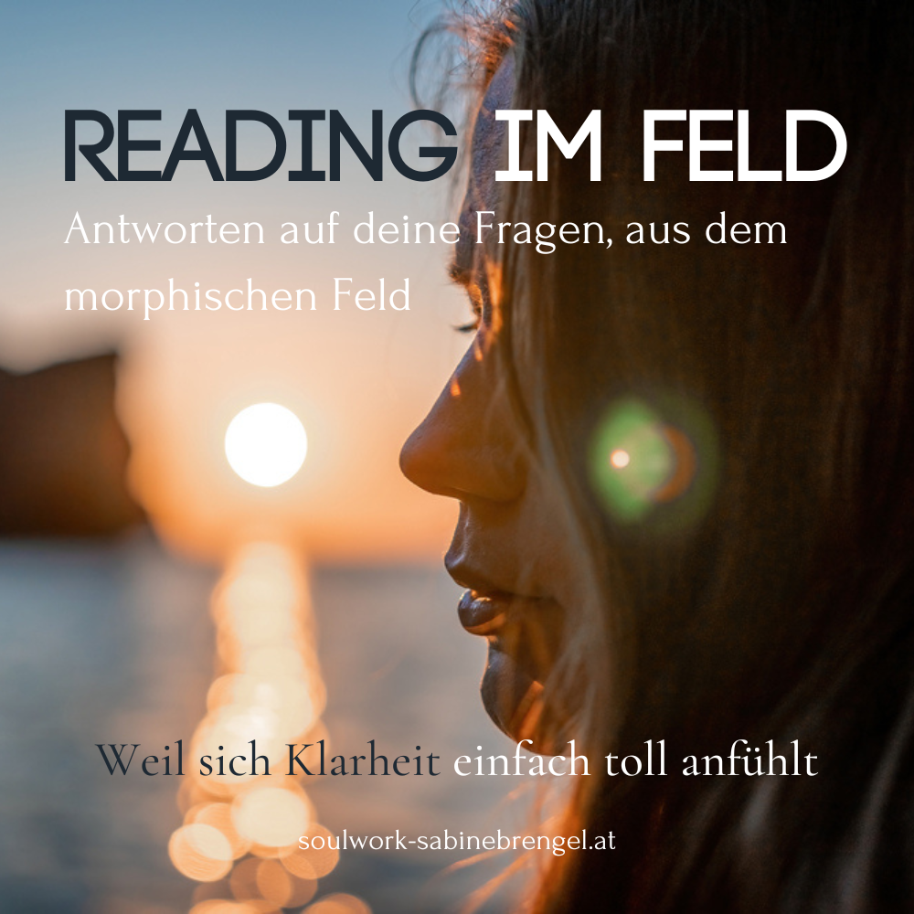 Reading im morphischen Feld